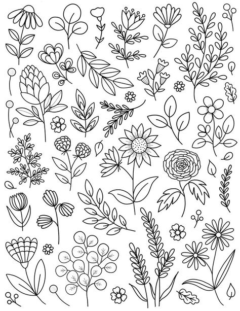 Reverse Coloring, Motif Bordir, Plants Drawing, Doodle Bug, Doodle Art Flowers, Flower Drawing Tutorials, Floral Doodle, Illustration Botanique, Tangle Art