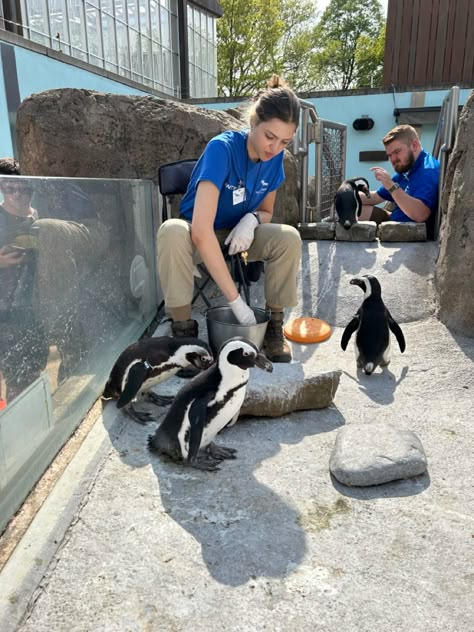 Working At An Aquarium, Aviary Aesthetic, Working With Animals Aesthetic, Zoology Aesthetic, Zoology Career, Wildlife Vet, Animal Jobs, Aesthetic Wildlife, Marine Scientist