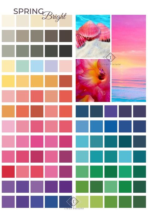 Bright Summer Colour Palette, Clear Bright Spring, Clear Spring Palette, Season Palette, Warm Spring Color Palette, True Spring Color Palette, True Spring Colors, Spring Tones, Spring Bright