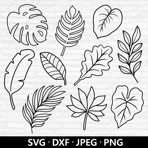 Tropical Leafs Drawings, Leaf Monstera Drawing, Drawing Palm Leaves, Palm Tree Leaves Drawing, Different Leaves Drawings, Nature Elements Drawing, Monstera Leaf Design, How To Draw Monstera Leaf, Cute Leaf Drawing