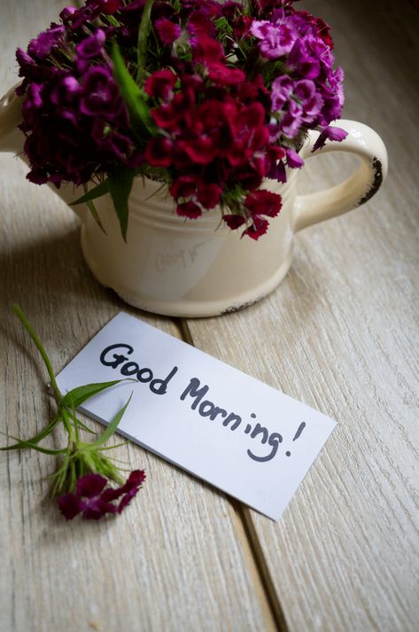 good morning roses images . . . . #morning #goodmorning #goodmorningpost #goodmorningquotes #goodmorningflowers #morning #morningquotes #quotes #quoteoftheday Good Morning Images For Husband, Very Good Morning Images, Good Morning Rose Images, Good Morning Msg, Lovely Good Morning Images, Happy Morning Quotes, Good Morning Nature, Good Morning Images Hd, Good Morning Roses