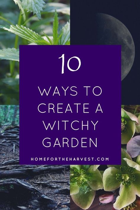 Oooh I can't wait to try this! These tips for a witch garden are actually super detailed. I'd love to have my own witch's garden! #witchgarden #witch #magic #plants Food Merchandising, Witches Garden, Witch's Garden, Witchy Garden, Merchandising Tips, Tattoo Plant, Witch Herbs, Witch Garden, Organic Vegetable Garden