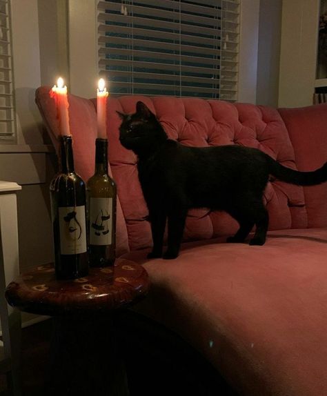 Terrence Loves You, Cherry Wine, Dark Feminine Aesthetic, A Black Cat, Season Of The Witch, Witch Aesthetic, Feminine Aesthetic, Elder Scrolls, Red Aesthetic