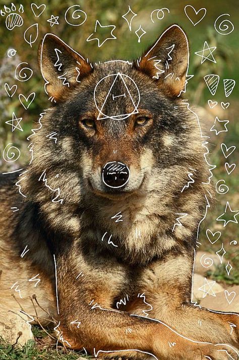 Wolf Therian, A Wolf, My Bestie, A Minor, Music