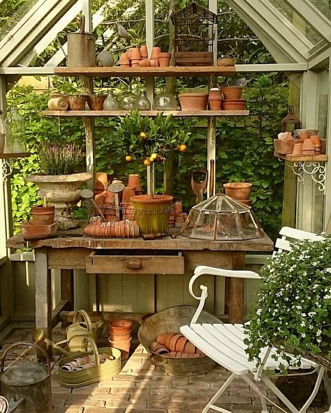 Garden Shed Interiors, Plants And Pots, Greenhouse Shed, Greenhouse Interiors, Green Houses, Backyard Greenhouse, Small Greenhouse, Greenhouse Plans, Potting Bench