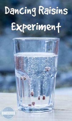 Dancing Raisins Experiment, Dancing Raisins, Vetenskapliga Experiment, Science Experience, 123 Homeschool 4 Me, Science Experiment For Kids, Science For Toddlers, Experiment For Kids, Science Week