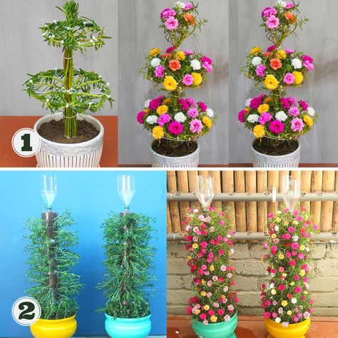 Portulaca Flowers Ideas, Diy Balcony Garden, Flower Planting Guide, Portulaca Flowers, Garden Tower, Flower Planting, Flower Tips, Plants Hanging, Diy Balcony