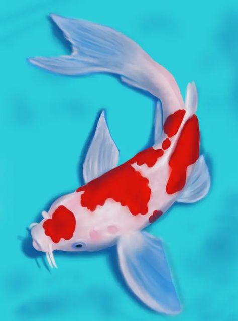 Learn How to Draw a Koi Fish (Fishes) Step by Step : Drawing Tutorials Diwali Drawing, Ikan Air Tawar, Coy Fish, Koi Painting, Koi Fish Drawing, Ikan Koi, Fish Drawing, Koi Art, Carpe Koi