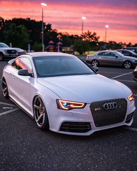 Allroad Audi, Rs6 Audi, Dream Cars Audi, Luxury Cars Audi, Sportster 1200, Audi Rs5, Luxurious Cars, Lamborghini Veneno, Lux Cars