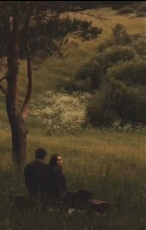 Paradis Sombre, Fotografi Digital, Arte Van Gogh, Slytherin Aesthetic, Dark Academia Aesthetic, Academia Aesthetic, The Grass, Nature Aesthetic, Couple Aesthetic