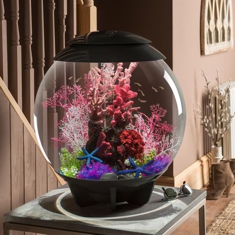 biOrb Round Aquarium Tank & Reviews | Wayfair Biorb Fish Tank, Aquarium Set, Amazing Aquariums, Cool Fish Tanks, Mini Aquarium, Sea Fan, Tropical Aquarium, Nature Aquarium, Gallery Ideas