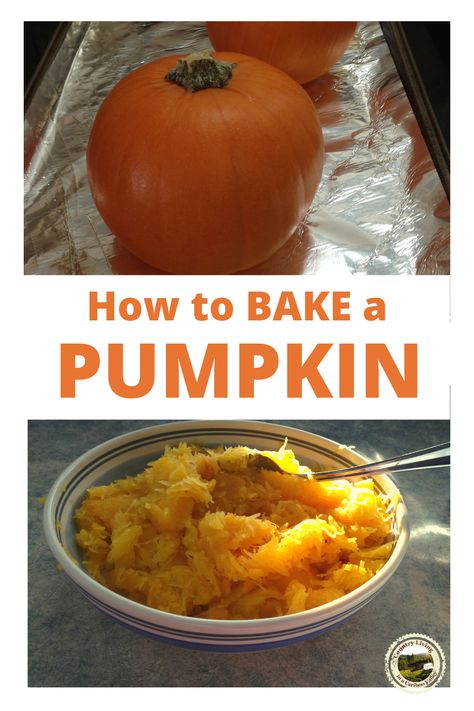 Flat White Boer Pumpkin Recipe, Cooking Whole Pumpkin In Oven, Bake A Pumpkin In The Oven, Baking A Pumpkin In The Oven, Cooking A Pumpkin In Oven, Cooking Pumpkin In Oven, How To Bake Pumpkin In The Oven, Make Pumpkin Puree, Pumpkin Mash