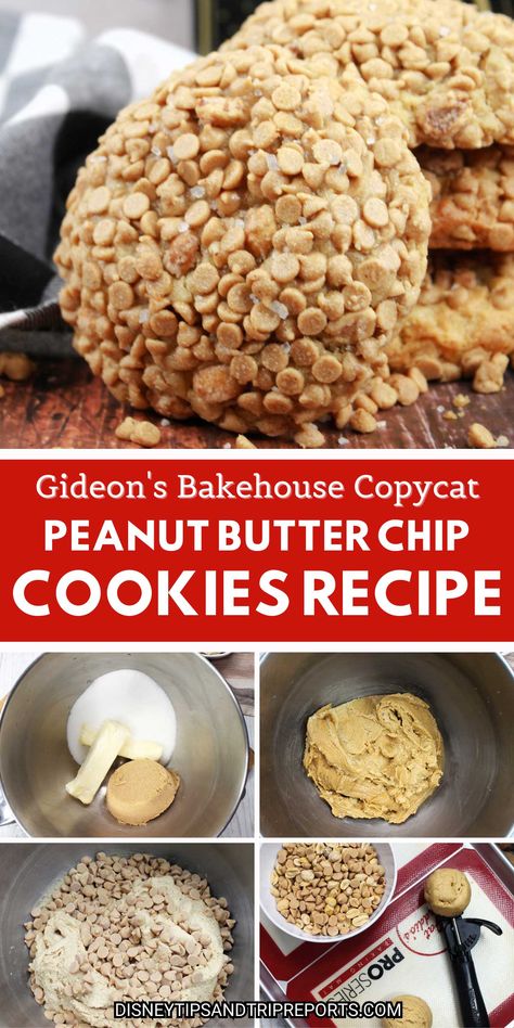 Enjoy Gideon's Bakehouse cookies without going to Disney Springs. Try this Gideon’s Peanut Butter Crunch Cookies Copycat Recipe. Click to get the recipe on DisneyTipsAndTripReports.com! Gideons Bakehouse Peanut Butter Crunch Cookie Recipe, Gideons Bake House Copycat, Gideons Copycat Recipes, Disney Peanut Butter Cookies, Gideons Bakehouse Copycat, Gideons Bakehouse Cookie Recipe Peanut Butter, Gideons Peanut Butter Cookie Recipe, Gideon’s Bakehouse Copycat Recipe, Gideons Copycat Cookies