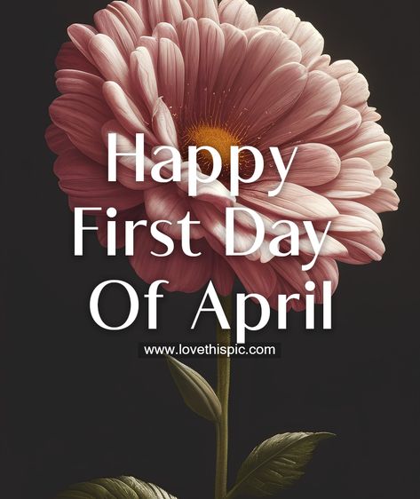 First Day Of April Quotes, 1st April Quotes, April Pictures Month, Happy New Month April Quotes, April First Quotes, Happy April 1st Quotes, Happy New Month Of April, April 1st Quotes, Happy April Quotes