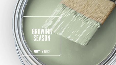 Growing Season M380-3 | Behr Paint Colors Behr Colors, Behr Paint Colors, Pintura Exterior, Behr Paint, Paint Sheen, Paint Can, Paint Colors For Home, Room Paint, Blue Paint