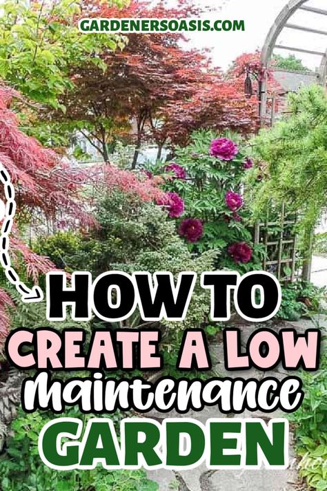 16 Tips For Creating A Low Maintainenance Garden | Gardening No Work Garden, Easy Maintenance Garden, Vegetable Garden Design Layout, Soil Nutrients, Vegetable Garden Layout Design, Cozy Balcony, Plants Under Trees, Townhouse Garden, Drought Resistant Plants