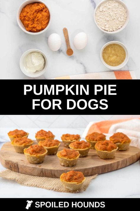 Dog Mini Pumpkin Pies, Dog Safe Pumpkin Pie, Doggie Pumpkin Treats, Mini Dog Pumpkin Pies, Pumpkin Pie For Dogs Recipes For, Dog Sweet Potato Pie, Mini Pumpkin Pie For Dogs, Thanksgiving Dog Treats Easy, Pumpkin Puree Recipes For Dogs