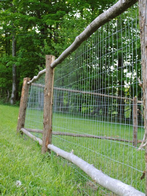 Backyard Fence Ideas For Dogs, Fence Ideas For Dogs, Backyard Fence Ideas, Rustic Garden Fence, Tor Design, Easy Fence, Ideas For Dogs, Decorative Garden Fencing, Deer Fence