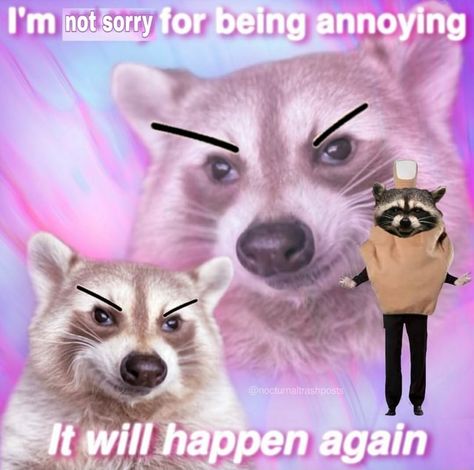 Sorry For Being Annoying, Possum Memes, Raccoon Memes, Racoon Funny, It Will Happen Again, Trash Pandas, Funniest Animals, Awesome Possum, Response Memes