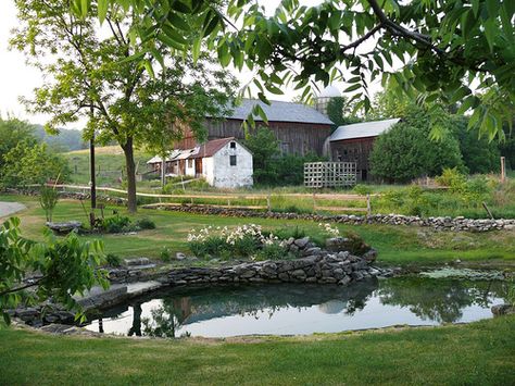 Pinterest: ange de la cuesta Farm Landscaping, Farm Pond, Building A Pond, Natural Swimming Ponds, Small Pond, Fountains Backyard, Swimming Pond, Pond Landscaping, Natural Pond