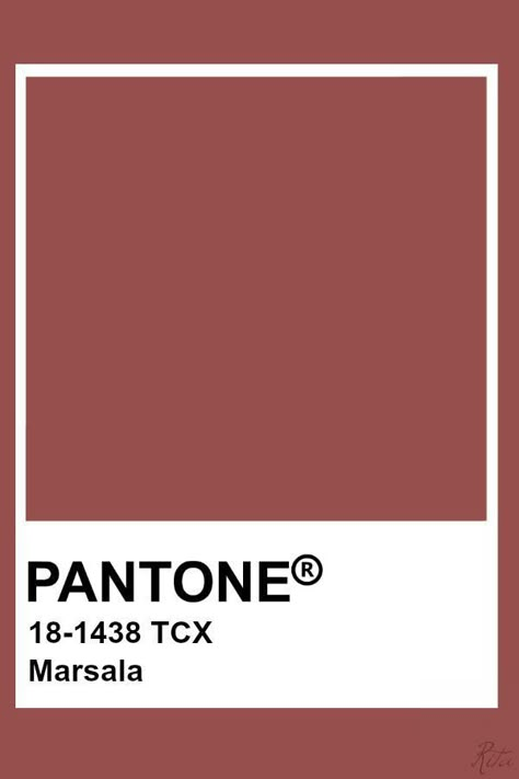 Marsala Pantone, Pantone Tcx, Pantone Red, Painting Corner, Marsala Color, Pantone Color Chart, Pantone Swatches, Pantone 2020, Pantone Palette