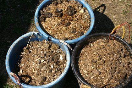 Use Caution when Fertilizing with Raw Horse Manure Manure Composting, Manure Management, Horse Manure, Horse Feed, Natural Fertilizer, Gardening 101, Beneficial Insects, Composting, Urban Farming