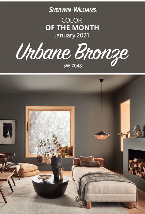 Urbane Bronze, Color Of The Month, Paint Color Inspiration, Sherwin Williams Paint Colors, Neutral Paint, Room Paint Colors, Interior Paint Colors, Paint Colors For Living Room, Random Image