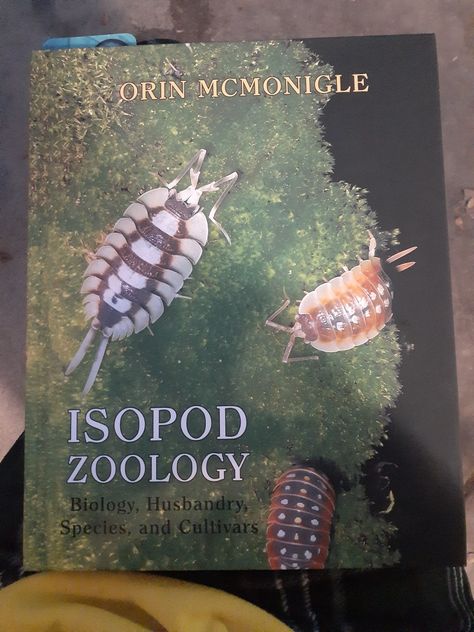 Isopods Terrarium, Isopod Enclosure, Pet Isopods, Isopod Art, Isopod Terrarium, Pill Bugs, Giant Isopod, Woodlice, Pill Bug