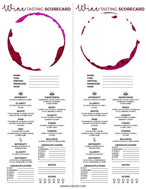 Wine Tasting Chart, Wine Tasting Card, Wine Tasting Guide, Vineyard Photography, Wine Tasting Notes, Concept Stores, Pouring Wine, Wine Event, Wine Sale