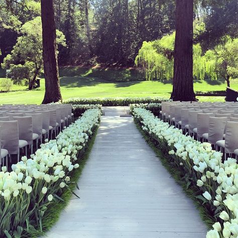 Thousands of #tulips line the ceremony aisle for our recent spring #Napa wedding. Meticulously planted by the amazingly talented @kathleendeerydesign. Simply stunning against the verdant @meadowoodnews backdrop. @ndornp @ckostow who's your favorite wedding planner?? Vogue Bride, Wedding Isles, Tulip Wedding, Wedding Altars, Luxury Wedding Venues, Wedding Location, Vogue Australia, Wedding Aisle, Star Wedding