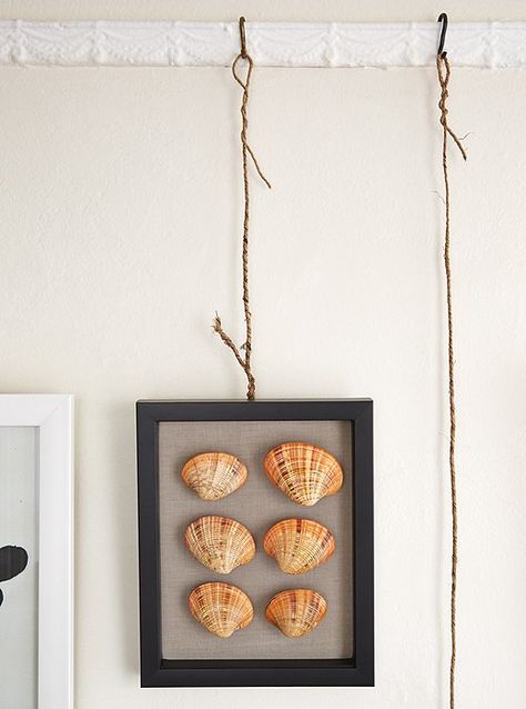 Hanging Coastal Beach Shell Art with Rope! Casual Picture Hanging Idea for the #beachcottagestyle home.... Featured on completely-coastal.com Large Blank Wall, Picture Hanging Ideas, Picture Rail Molding, Old School Pictures, Natural Objects, Beach House Interior Design, Beach Bathroom Decor, Hanging Ideas, Hanging Artwork