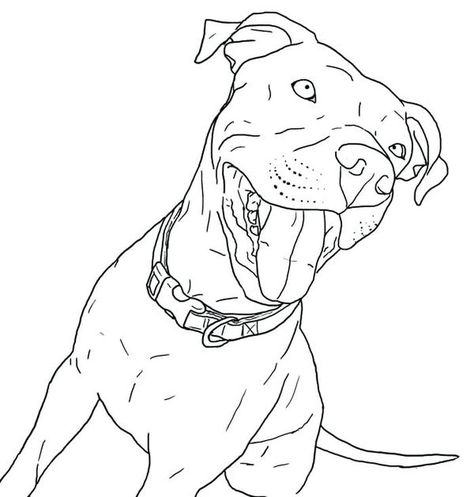 Puppies Coloring Pages Girl Pitbull Pitbull Colors, Pitbull Drawing, Pit Bull Puppies, Pitbull Art, Blue Nose Pitbull, Puppy Coloring Pages, Puppy Drawing, Pitbull Puppy, Dog Coloring Page