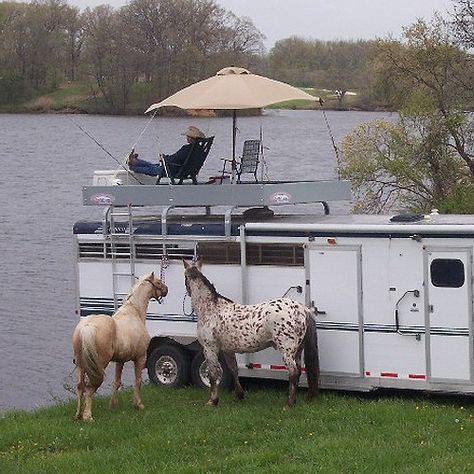 HayRak Storage System :: Horse Trailer Storage  Horses Horses Trailer, Stock Trailer, Trailer Storage, Trailer Living, Barrel Racing Horses, Trailer Home, Horse Trailers, Horse Trailer, Barrel Racing