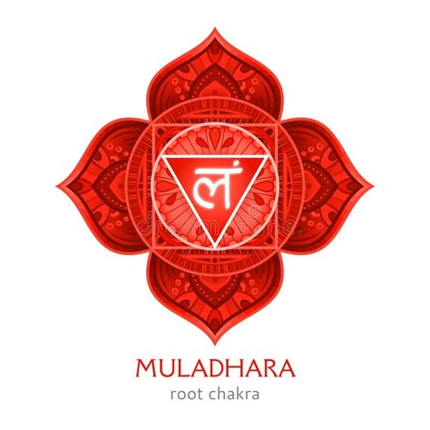 Muladhara, root chakra symbol. Colorful mandala. Vector illustration. Design vector illustration Root Chakra Illustration, Root Chakra Mandala, Root Chakra Art Paintings, Root Chakra Tattoo Symbols, Muladhara Chakra Symbol, Root Chakra Image, Muladhara Chakra Tattoo, Root Chakra Aesthetic, Root Chakra Tattoo