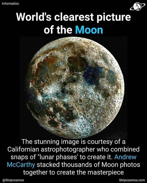 World's clearest picture of moon Picture Of Moon, Andrew Mccarthy, Astronomy Facts, Cool Science Facts, Space Facts, Moon Photos, Lunar Phase, Science Facts, Space Science