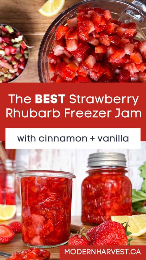 Strawberry Rhubarb Freezer Jam, Rhubarb Freezer Jam, Rhubarb Scones, Freeze Rhubarb, Rhubarb Jam Recipes, Strawberry Freezer Jam, Freezer Jam Recipes, Strawberry Rhubarb Jam, Rhubarb Desserts