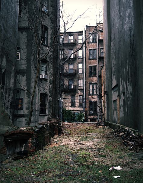 Dystopian Aesthetic, Apocalypse Aesthetic, Story Setting, Post Apocalypse, Abandoned Buildings, Story Inspiration, Zombie Apocalypse, City Aesthetic, On The Ground