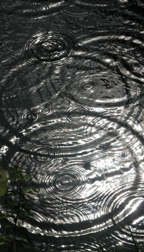 The Sound Of Rain, Water Ripples, Simple Background Images, Sound Of Rain, Heavy Rain, Body Drawing, Cozy Cabin, Photography Projects, Elements Of Art