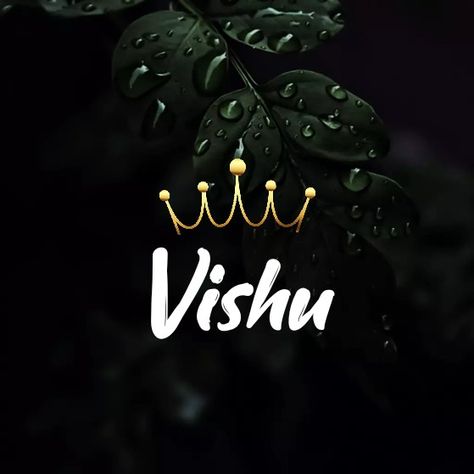 Vishal Name Png, Vishal Name Wallpaper, Vishal Name Logo, Vs Logo Design Fonts, V Name Wallpaper, V Letter Wallpaper, Vishu Images, Gujarati Font, V Letter Images