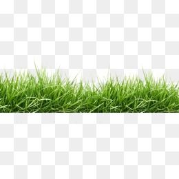 평면, 잔디 잔디 Grass Photoshop, 2048x1152 Wallpapers, Png Images For Editing, Tree Photoshop, Landscape Design Drawings, Photoshop Rendering, Photoshop Backgrounds Free, Retouching Photoshop, Tree Textures