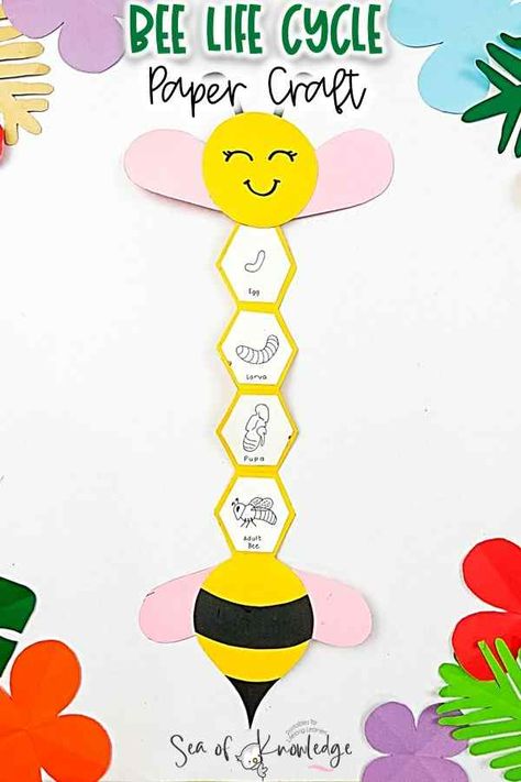 Life Cycle Of A Bee Free Printable, Bee Learning Activities For Kids, Life Cycle Crafts For Preschoolers, Bee Projects For Kids, Honey Bee Crafts For Kids, Life Cycle Of Honey Bee, Bee Life Cycle Craft, Life Cycles Preschool Activities, Bee Activities For Preschool