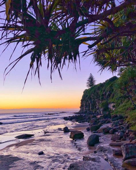 Magical mornings at Moffat Beach💜🌴  #visitsunshinecoast by @anitaski (IG) in Caloundra Sunshine Coast Caloundra Sunshine Coast, Beach Landscapes, Surf Tattoo, Australia Bucket List, Australian Beach, Property Investment, Bedroom Photos, Beaches In The World, Big Art