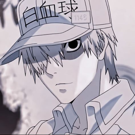 White Blood Cell from Cells At Work White Blood Cell, Work Icon, Cells At Work, White Blood, White Blood Cells, Blood Cells, Manga Characters, My Hero Academia Manga, Cute Gif