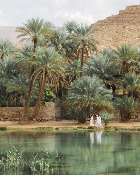 PRIOR on Instagram: “Walking through a serene date palm oasis in Oman—an antidote to the flashy artifice of neighboring Dubai. Here, traditional Bedouin values…” Arabic Garden, Interior Architecture Drawing, Desert Oasis, Arch Daily, Community Gardening, Aesthetic Images, Types Of Houses, Pretty Places, Oman