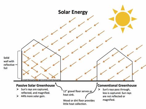 Picture Diy Passive Solar Greenhouse, Greenhouse Floor Plan, Green House Diy Greenhouse Plans, Passive Solar Greenhouse, Underground Greenhouse, Greenhouses For Sale, Solar Greenhouse, Diy Greenhouse Plans, Green House Design