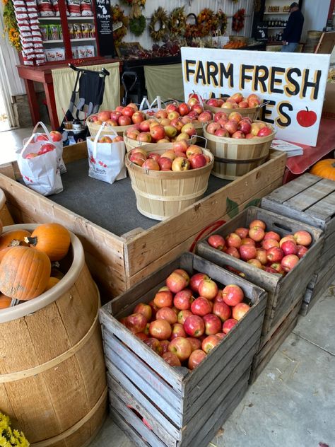 fall aesthetic, apple orchard, apple picking, autumn Madeleine, Tumblr, Autumn Farmers Market Aesthetic, Fall Farm Market, Apple Farm Aesthetic, Farm Market Aesthetic, Local Market Aesthetic, Fall Farm Stand, Fall Farmers Market Aesthetic