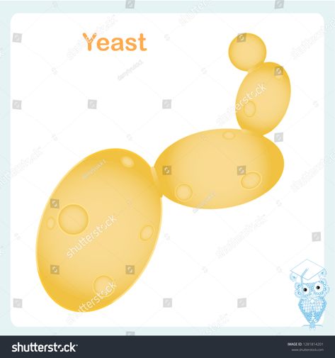 Yeast Drawing, Yeast Illustration, Bread Packaging Design, Cell Illustration, Bread Packaging, Vector Food, Paper Weaving, Illustration Food, Cartoon Drawing