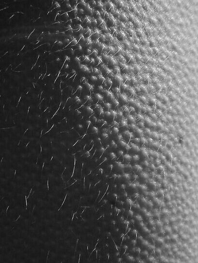 GOOSEBUMPS:   "Feel that?" Blvckhvt whispered, his breath warm against her ear.  She shivered, goosebumps blooming beneath his fingertips.  "Every touch," she murmured, "sends shivers down my spine, a silent correlation of our connection." Beauty, Feelings, Goosebumps Aesthetic, Maddest Obsession, Photos Inspo, Touching Herself, Photo Dump, Mirror, Quick Saves