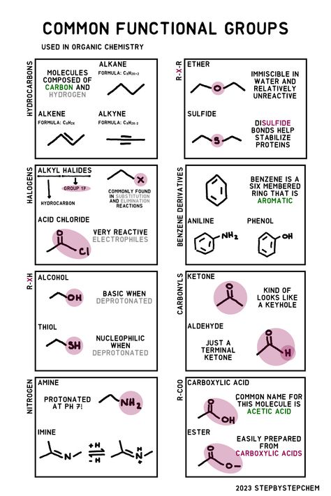 Names and structures of common functional groups found in organic molecules. Organisation, Functional Groups Organic Chemistry, Organic Chemistry Cheat Sheet, Organic Chemistry Notes, Organic Chem, Chemistry Posters, Organic Chemistry Study, Chemistry Study Guide, Chemistry Basics