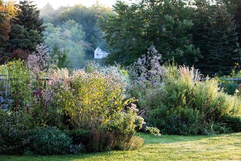 Garden Words, Portland Garden, Outdoor Gardens Landscaping, Landscaped Garden, Native Plant Gardening, Farmhouse Landscaping, Coastal Gardens, Farmhouse Garden, Seize The Day